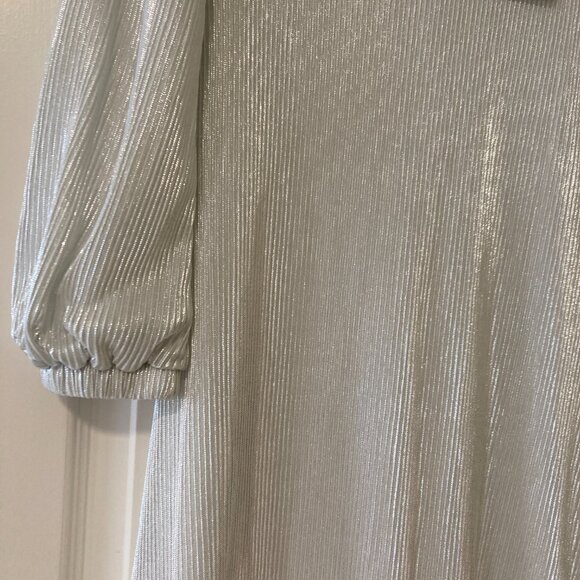 Elegant Pleated Dress - Picture 4 of 5